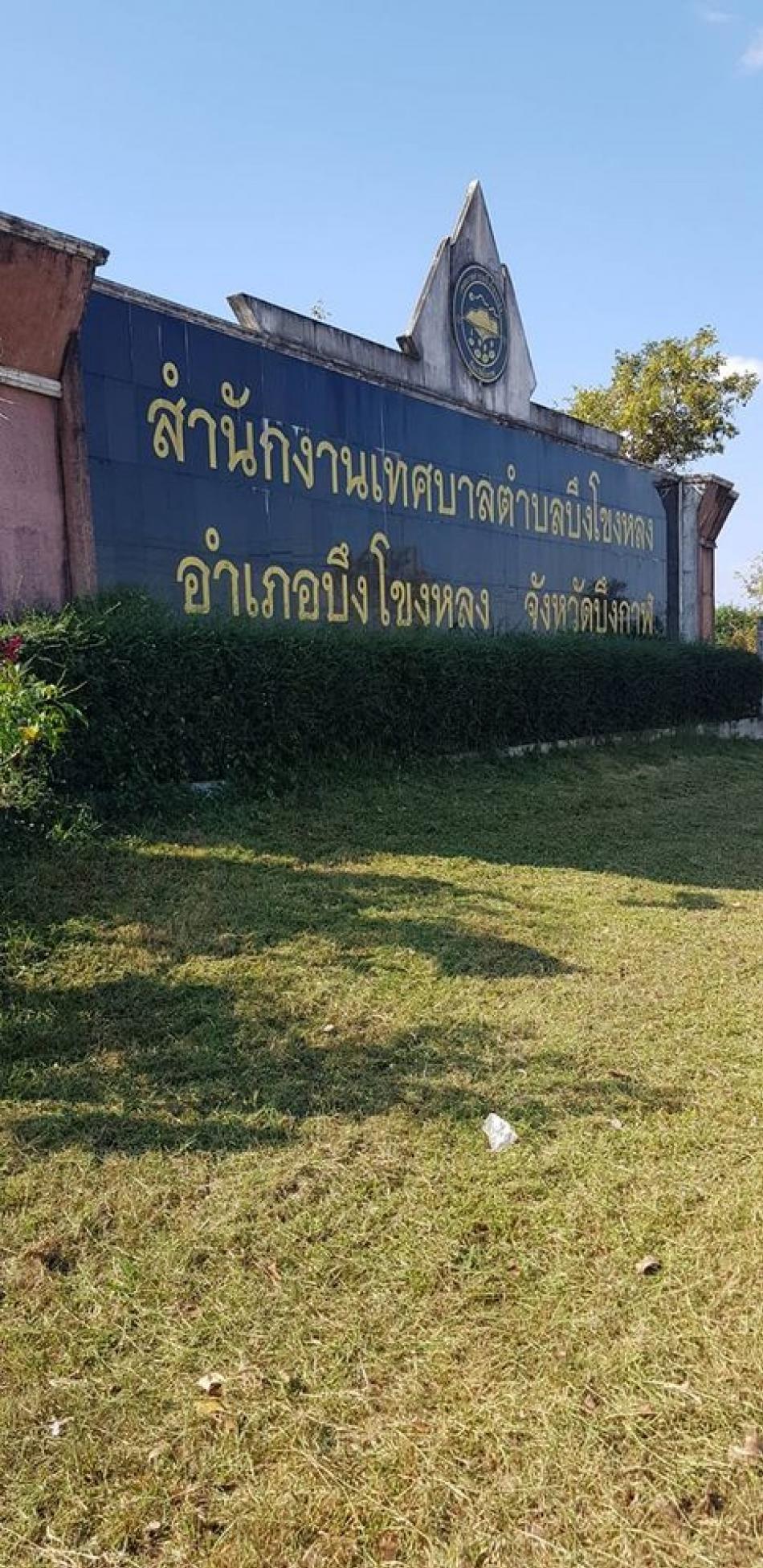 เทศบาลตำบลบึงโขงหลง ตัดหญ้า เคลียร์พื้นที่ ปรับภูมิทัศน์บริเวณโดยรอบสำนักงาน และเพื่อเตรียมงานพิธีในวันที่ 5 ธันวาคม