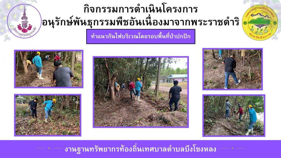 ทำแนวกันไฟบริเวณโดยรอบพื้นที่ป่าปกปัก
